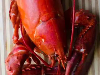 越南风味龙虾卷,将龙虾放入蒸锅，盖上锅盖，蒸至龙虾完全变红，拿出冷却.