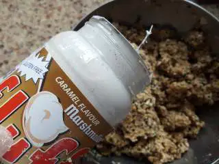 粗粮燕麦饼干,8.最后加入焦糖风味的棉花糖。