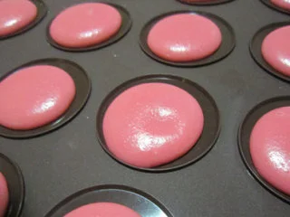 法式甜点马卡龙,挤好的马卡龙自然风干晾至表皮摸上去不粘手,并形成了一层硬硬的壳就可以烤了,我是凉了40分钟