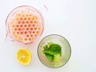 夏日红柚季！比基尼少女的鸡尾酒,青桔“十字”切开成4块备用