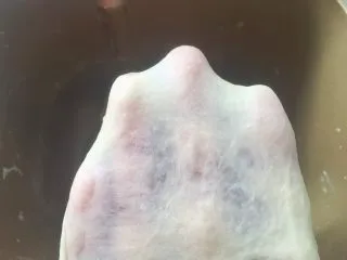 意式红烩牛柳酥,加水启动揉面程序,将材料揉成面团,揉好的面团切下一小块,横切面无孔洞,可以撑出手套膜破洞处呈现锯齿状