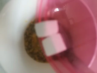 百香果蜂蜜饮,加方糖