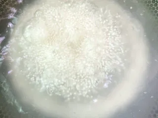 西米的完美煮法,⚠️【搅拌】,避免糊锅