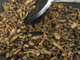 萝卜干炒蚬肉（麻辣风味）,翻炒均匀出香味。火锅料和萝卜干本身有盐就不用放盐了。