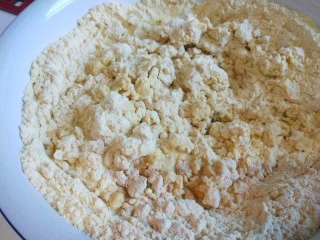 新文美食 北京特色小吃蒸年糕,适量倒入温水搅拌。