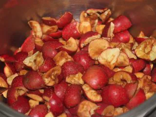 老北京小吃之“山楂糕”,山楂去核儿去根儿,切成小块儿,这步很费时。