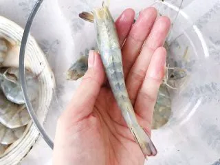 新年餐·茄汁大虾,食材处理： 将所有大虾的“脚”去掉