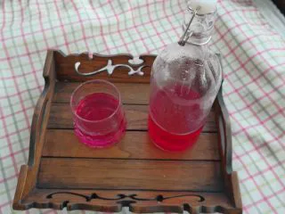 夏日果味酵素饮品,有点像格瓦斯的味道,但是比格瓦斯好喝多了。