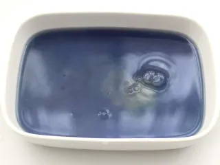 蓝蝴蝶奶冻西米露,加入泡软的吉利丁片，混合搅拌均匀放入冰箱冷藏。