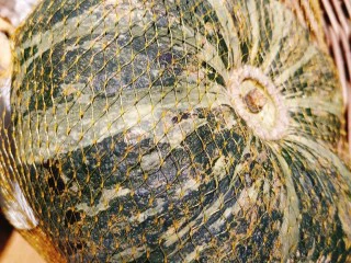 奶油南瓜浓汤,选一个老南瓜，去皮去瓤，切块；