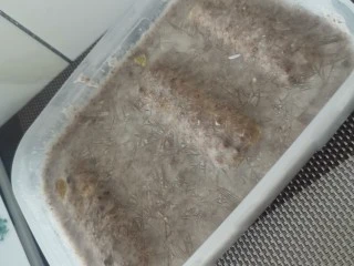 厚切酸奶冰淇淋,取出盒子室温放一会好脱模