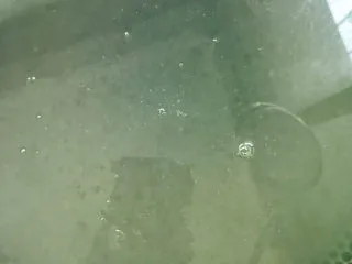 西米的完美煮法,揭开锅盖