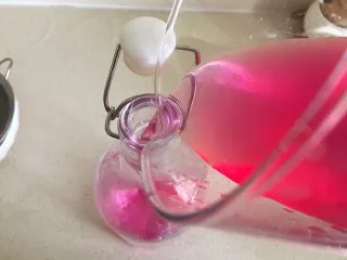 夏日果味酵素饮品,然后在倒入可密封的瓶子中