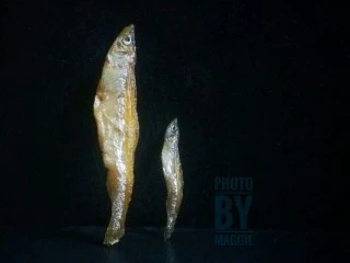 香辣下饭菜～客家小炒鱼干,当然还有更小的，没有对比没有伤害😂哈哈都一样好吃。