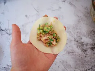 猪肉韭菜锅贴,取一张饺子皮，放入适量的馅料