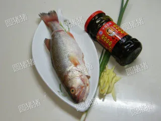 老干妈豆豉蒸鱼——懒人也能出好菜,新鲜鲈鱼去肚去鳞，洗净备用，香葱切段，生姜切丝。