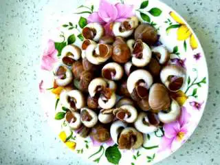 #烟台特色小吃，酱爆海蚍蛴#,海蚍蛴洗干净备用