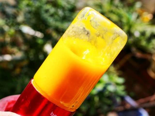 百变水果 芒果冰格,再倒入一半调好的配方奶。芒果和牛奶约占杯体的2/3。打开开关,开机倾斜45度转40秒。运作的同时轻轻摇动果汁机。在果汁机中打两次,这样打出来的饮品更细腻。