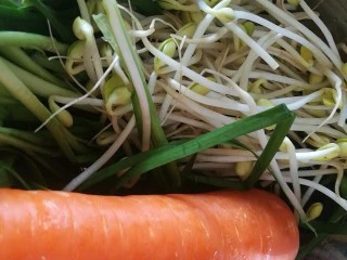快手菜，肉丝豆芽爆海虾,胡萝卜豆芽韭菜洗净，沥干