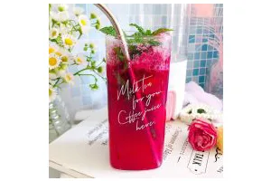 火龙果薄荷气泡水