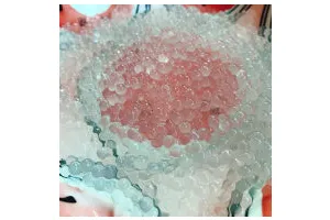 西米的完美煮法