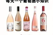 自酿桃红葡萄酒（精酿美味，自己动手更健康）