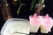 五味水果雪糕的制作方法(让夏日更有滋味,五味水果雪糕你值得拥有)