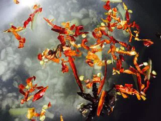 宵夜嗨起来—自制美味花甲粉,加少量干辣椒继续煮