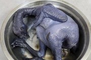美食盛宴之箱烤乌鸡(传统做法重现,滋味无穷!——探秘乌鸡箱烤的制作方法)