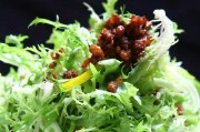 紫甘蓝拌苦菊的健康美食(以苦菊清热解毒,紫甘蓝补充维生素C)