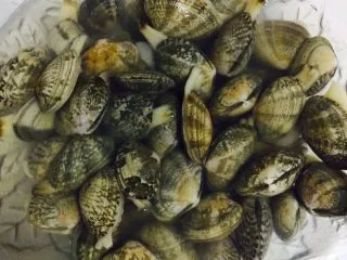 宵夜嗨起来—自制美味花甲粉,花甲提前用水浸泡