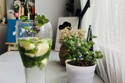 清凉夏日,樱桃Mojito来一杯!(樱桃+柠檬+薄荷,让你解暑一夏)