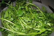 清炒西洋菜,美味健康的佳肴(如何制作口感鲜美的清炒西洋菜)