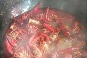 小龙虾处理方法大全（烤、炸、蒸、煮，让你吃出不同味道）