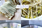 学做正宗川味水煮鱼(掌握JIARU的秘诀,让你在家轻松做出香辣麻辣的美味佳肴)