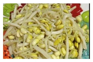 素炒豆芽菜——清爽美味佳肴