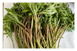 野蒿子炒蛋的美味做法（用野蒿子炒出清香美味的蛋菜）