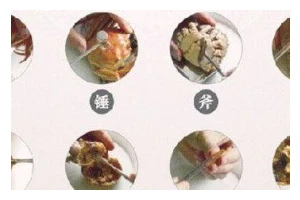 秋膘贴不止，减肥更健康（健康减重的正确方式，更长久的美丽）