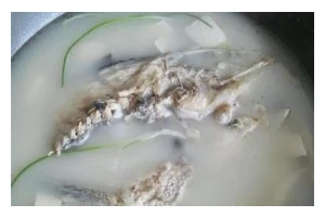 自制鱼头汤，营养滋补从厨房开始（做法大公开，如何烹饪最美味的鱼头汤）
