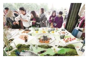 双西合璧之道——巧妙融合的烹饪艺术（探寻双西合璧的精髓，开启烹饪新篇章）