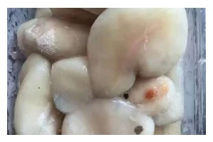 清爽夏日，以冰镇墨鱼为美食主角（冰镇墨鱼，美味夏日必备）