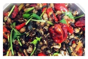 以吮指香辣螺丝为主题的美食烹饪方法（体验辛辣鲜美的美食盛宴，让你回味无穷）