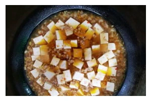 肉末盖豆腐美食制作指南（一道美味又健康的家常菜）