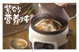 小熊电炖锅版炖鸡汤的做法分享（用小熊电炖锅，轻松炖制美味鸡汤）