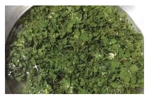 蒜香野菜的做法大全（野菜与大蒜的完美结合，美味又健康）