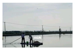 家庭DIY（DIY玩具，让孩子享受快乐时光）