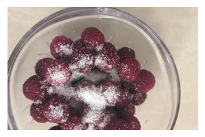 杨梅冰棒的制作方法（享受夏日美味的健康零食）