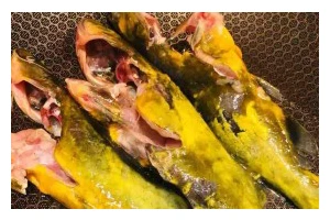 以昂刺鱼豆腐汤为主题的美食探索（探寻鲜美昂刺鱼的做法与配搭）