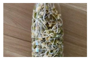 自制黄豆芽饮料瓶，让生活更有趣（用废旧物品创造新生活，DIY黄豆芽饮料瓶，让你健康又环保）