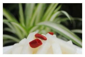 15分钟搞定，家庭必备的下饭好菜（15分钟搞定，家庭必备的下饭好菜）